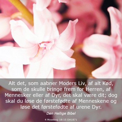 Picture 03 - 4 Mosebog 18:15 DA1871 - Alt det, som aabner Moders Liv, af alt Kød, som - Bible Verse Picture