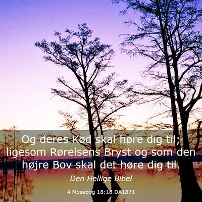 Picture 03 - 4 Mosebog 18:18 DA1871 - Og deres Kød skal høre dig til; ligesom - Bible Verse Picture