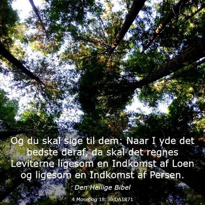 Picture 03 - 4 Mosebog 18:30 DA1871 - Og du skal sige til dem: Naar I yde det bedste - Bible Verse Picture