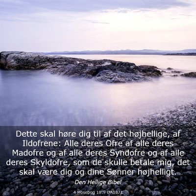 Picture 03 - 4 Mosebog 18:9 DA1871 - Dette skal høre dig til af det højhellige, af - Bible Verse Picture