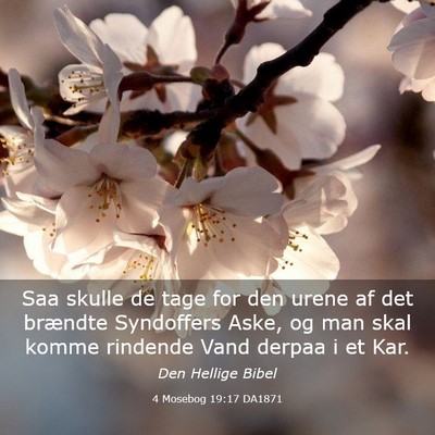 Picture 03 - 4 Mosebog 19:17 DA1871 - Saa skulle de tage for den urene af det brændte - Bible Verse Picture