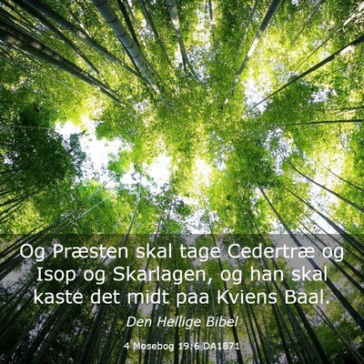 Picture 03 - 4 Mosebog 19:6 DA1871 - Og Præsten skal tage Cedertræ og Isop og - Bible Verse Picture