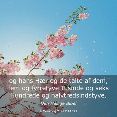 Picture 03 - 4 Mosebog 2:15 DA1871 - og hans Hær og de talte af dem, fem og fyrretyve - Bible Verse Picture