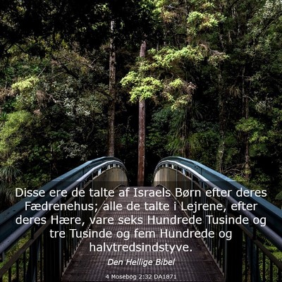 Picture 03 - 4 Mosebog 2:32 DA1871 - Disse ere de talte af Israels Børn efter deres - Bible Verse Picture