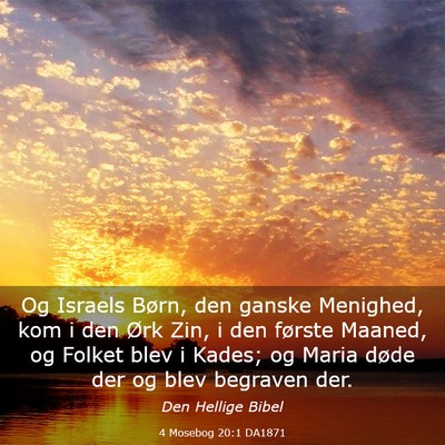 Picture 03 - 4 Mosebog 20:1 DA1871 - Og Israels Børn, den ganske Menighed, kom i den - Bible Verse Picture