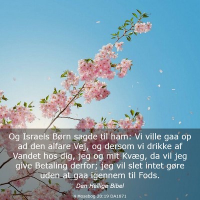 Picture 03 - 4 Mosebog 20:19 DA1871 - Og Israels Børn sagde til ham: Vi ville gaa op - Bible Verse Picture