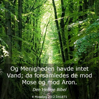 Picture 03 - 4 Mosebog 20:2 DA1871 - Og Menigheden havde intet Vand; da forsamledes de - Bible Verse Picture