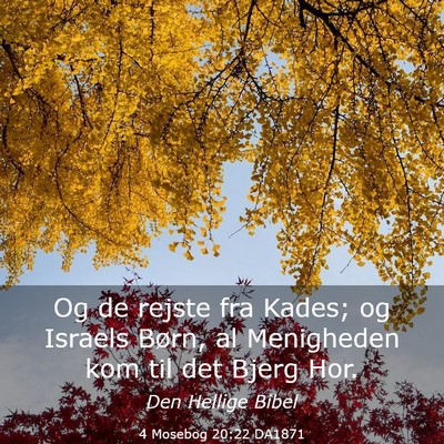 Picture 03 - 4 Mosebog 20:22 DA1871 - Og de rejste fra Kades; og Israels Børn, al - Bible Verse Picture
