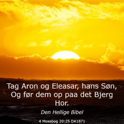 Picture 03 - 4 Mosebog 20:25 DA1871 - Tag Aron og Eleasar, hans Søn, Og før dem op - Bible Verse Picture