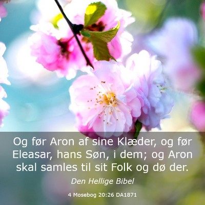 Picture 03 - 4 Mosebog 20:26 DA1871 - Og før Aron af sine Klæder, og før Eleasar, - Bible Verse Picture