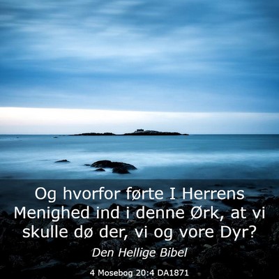 Picture 03 - 4 Mosebog 20:4 DA1871 - Og hvorfor førte I Herrens Menighed ind i denne - Bible Verse Picture