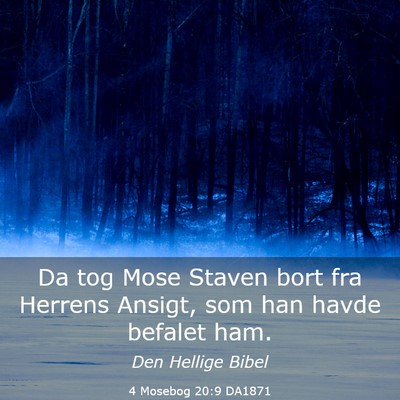 Picture 03 - 4 Mosebog 20:9 DA1871 - Da tog Mose Staven bort fra Herrens Ansigt, som - Bible Verse Picture