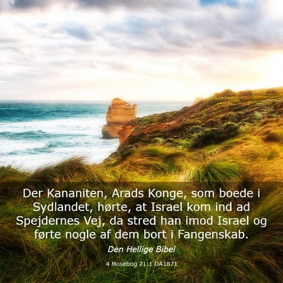 Picture 03 - 4 Mosebog 21:1 DA1871 - Der Kananiten, Arads Konge, som boede i - Bible Verse Picture