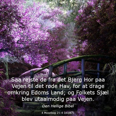 Picture 03 - 4 Mosebog 21:4 DA1871 - Saa rejste de fra det Bjerg Hor paa Vejen til det - Bible Verse Picture