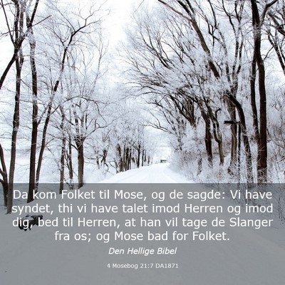 Picture 03 - 4 Mosebog 21:7 DA1871 - Da kom Folket til Mose, og de sagde: Vi have - Bible Verse Picture