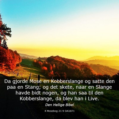 Picture 03 - 4 Mosebog 21:9 DA1871 - Da gjorde Mose en Kobberslange og satte den paa - Bible Verse Picture