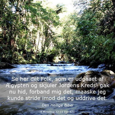 Picture 03 - 4 Mosebog 22:11 DA1871 - Se her det Folk, som er udgaaet af Ægypten og - Bible Verse Picture