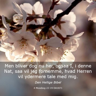 Picture 03 - 4 Mosebog 22:19 DA1871 - Men bliver dog nu her, ogsaa I, i denne Nat, saa - Bible Verse Picture