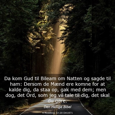 Picture 03 - 4 Mosebog 22:20 DA1871 - Da kom Gud til Bileam om Natten og sagde til ham: - Bible Verse Picture
