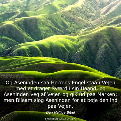 Picture 03 - 4 Mosebog 22:23 DA1871 - Og Aseninden saa Herrens Engel staa i Vejen med - Bible Verse Picture