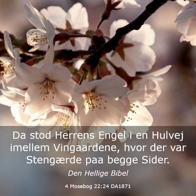 Picture 03 - 4 Mosebog 22:24 DA1871 - Da stod Herrens Engel i en Hulvej imellem - Bible Verse Picture
