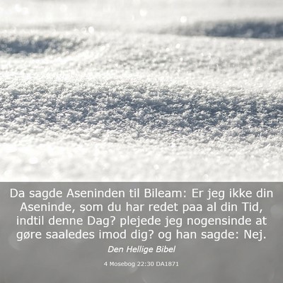 Picture 03 - 4 Mosebog 22:30 DA1871 - Da sagde Aseninden til Bileam: Er jeg ikke din - Bible Verse Picture