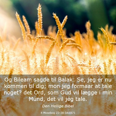 Picture 03 - 4 Mosebog 22:38 DA1871 - Og Bileam sagde til Balak: Se, jeg er nu kommen - Bible Verse Picture