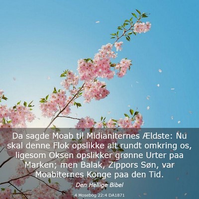 Picture 03 - 4 Mosebog 22:4 DA1871 - Da sagde Moab til Midianiternes Ældste: Nu skal - Bible Verse Picture