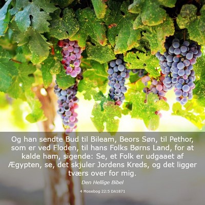 Picture 03 - 4 Mosebog 22:5 DA1871 - Og han sendte Bud til Bileam, Beors Søn, til - Bible Verse Picture