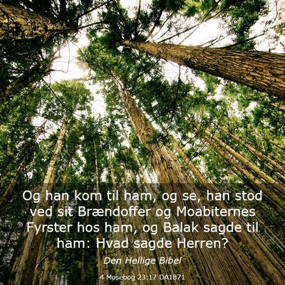 Picture 03 - 4 Mosebog 23:17 DA1871 - Og han kom til ham, og se, han stod ved sit - Bible Verse Picture