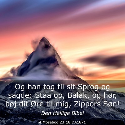 Picture 03 - 4 Mosebog 23:18 DA1871 - Og han tog til sit Sprog og sagde: Staa op, - Bible Verse Picture
