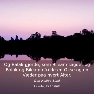 Picture 03 - 4 Mosebog 23:2 DA1871 - Og Balak gjorde, som Bileam sagde; og Balak og - Bible Verse Picture