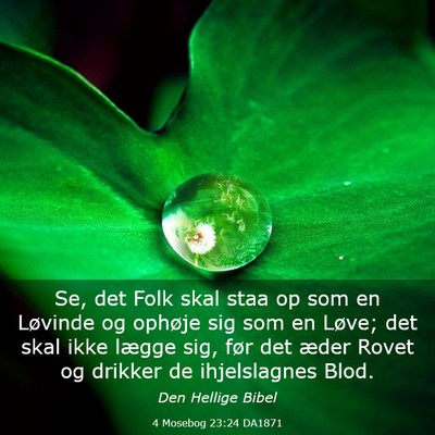 Picture 03 - 4 Mosebog 23:24 DA1871 - Se, det Folk skal staa op som en Løvinde og - Bible Verse Picture