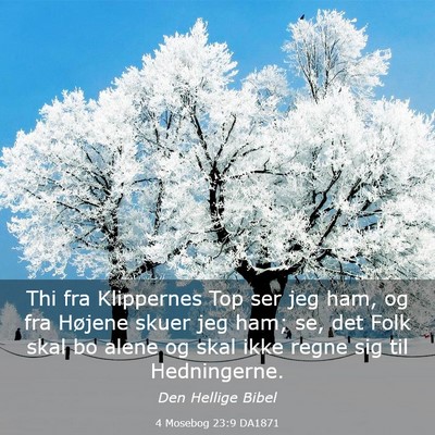 Picture 03 - 4 Mosebog 23:9 DA1871 - Thi fra Klippernes Top ser jeg ham, og fra - Bible Verse Picture