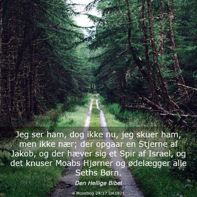 Picture 03 - 4 Mosebog 24:17 DA1871 - Jeg ser ham, dog ikke nu, jeg skuer ham, men ikke - Bible Verse Picture
