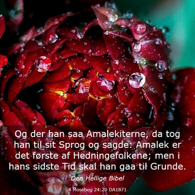 Picture 03 - 4 Mosebog 24:20 DA1871 - Og der han saa Amalekiterne, da tog han til sit - Bible Verse Picture
