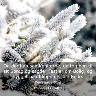 Picture 03 - 4 Mosebog 24:21 DA1871 - Og der han saa Keniterne, da tog han til sit - Bible Verse Picture