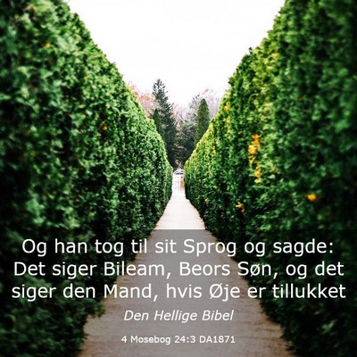 Picture 03 - 4 Mosebog 24:3 DA1871 - Og han tog til sit Sprog og sagde: Det siger - Bible Verse Picture
