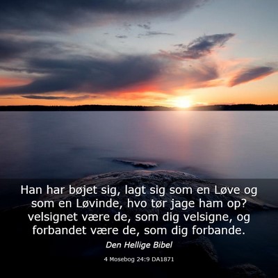 Picture 03 - 4 Mosebog 24:9 DA1871 - Han har bøjet sig, lagt sig som en Løve og som - Bible Verse Picture