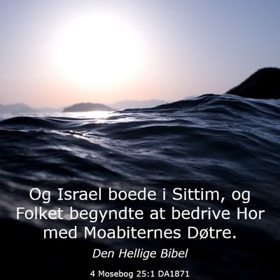 Picture 03 - 4 Mosebog 25:1 DA1871 - Og Israel boede i Sittim, og Folket begyndte at - Bible Verse Picture