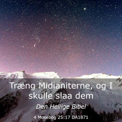 Picture 03 - 4 Mosebog 25:17 DA1871 - Træng Midianiterne, og I skulle slaa - Bible Verse Picture