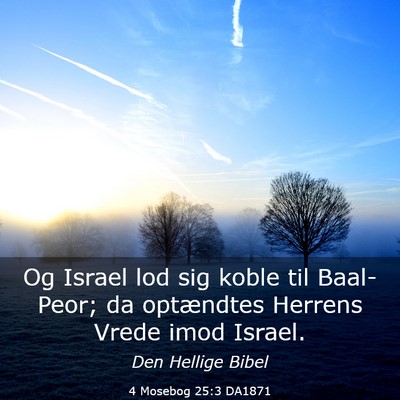 Picture 03 - 4 Mosebog 25:3 DA1871 - Og Israel lod sig koble til Baal-Peor; da - Bible Verse Picture