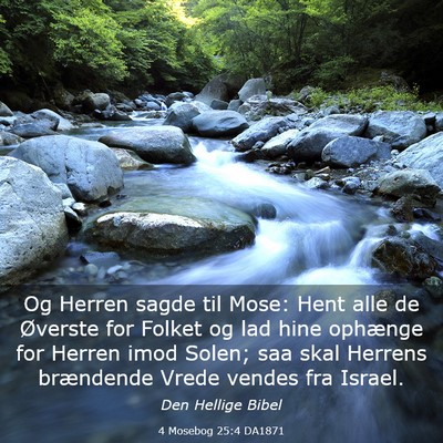 Picture 03 - 4 Mosebog 25:4 DA1871 - Og Herren sagde til Mose: Hent alle de Øverste - Bible Verse Picture