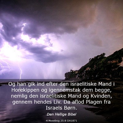 Picture 03 - 4 Mosebog 25:8 DA1871 - Og han gik ind efter den israelitiske Mand i - Bible Verse Picture