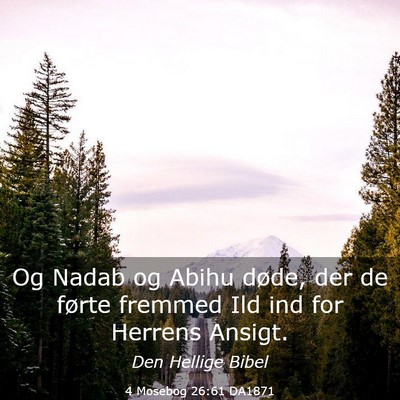 Picture 03 - 4 Mosebog 26:61 DA1871 - Og Nadab og Abihu døde, der de førte fremmed - Bible Verse Picture
