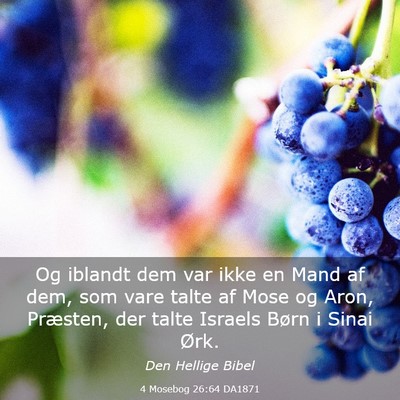 Picture 03 - 4 Mosebog 26:64 DA1871 - Og iblandt dem var ikke en Mand af dem, som vare - Bible Verse Picture