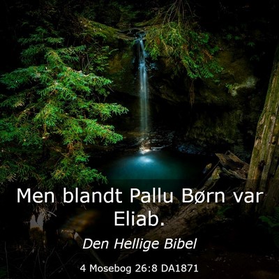 Picture 03 - 4 Mosebog 26:8 DA1871 - Men blandt Pallu Børn var - Bible Verse Picture
