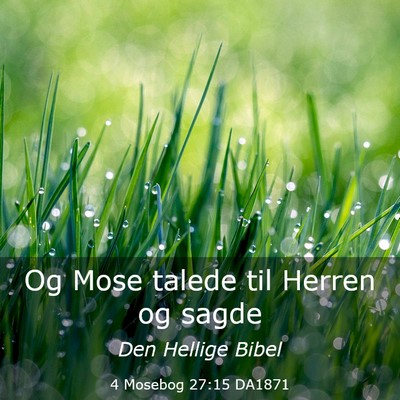 Picture 03 - 4 Mosebog 27:15 DA1871 - Og Mose talede til Herren og - Bible Verse Picture