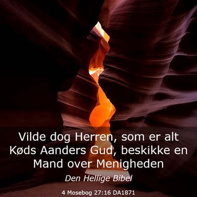 Picture 03 - 4 Mosebog 27:16 DA1871 - Vilde dog Herren, som er alt Køds Aanders Gud, - Bible Verse Picture