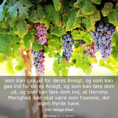 Picture 03 - 4 Mosebog 27:17 DA1871 - som kan gaa ud for deres Ansigt, og som kan gaa - Bible Verse Picture